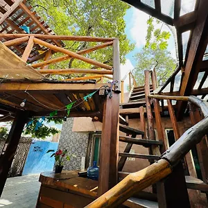 Hostel Ahava Boutique, Cancún