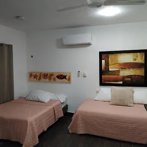  Apartment Estudio Zona Centro Cerca De La Terminal Ado